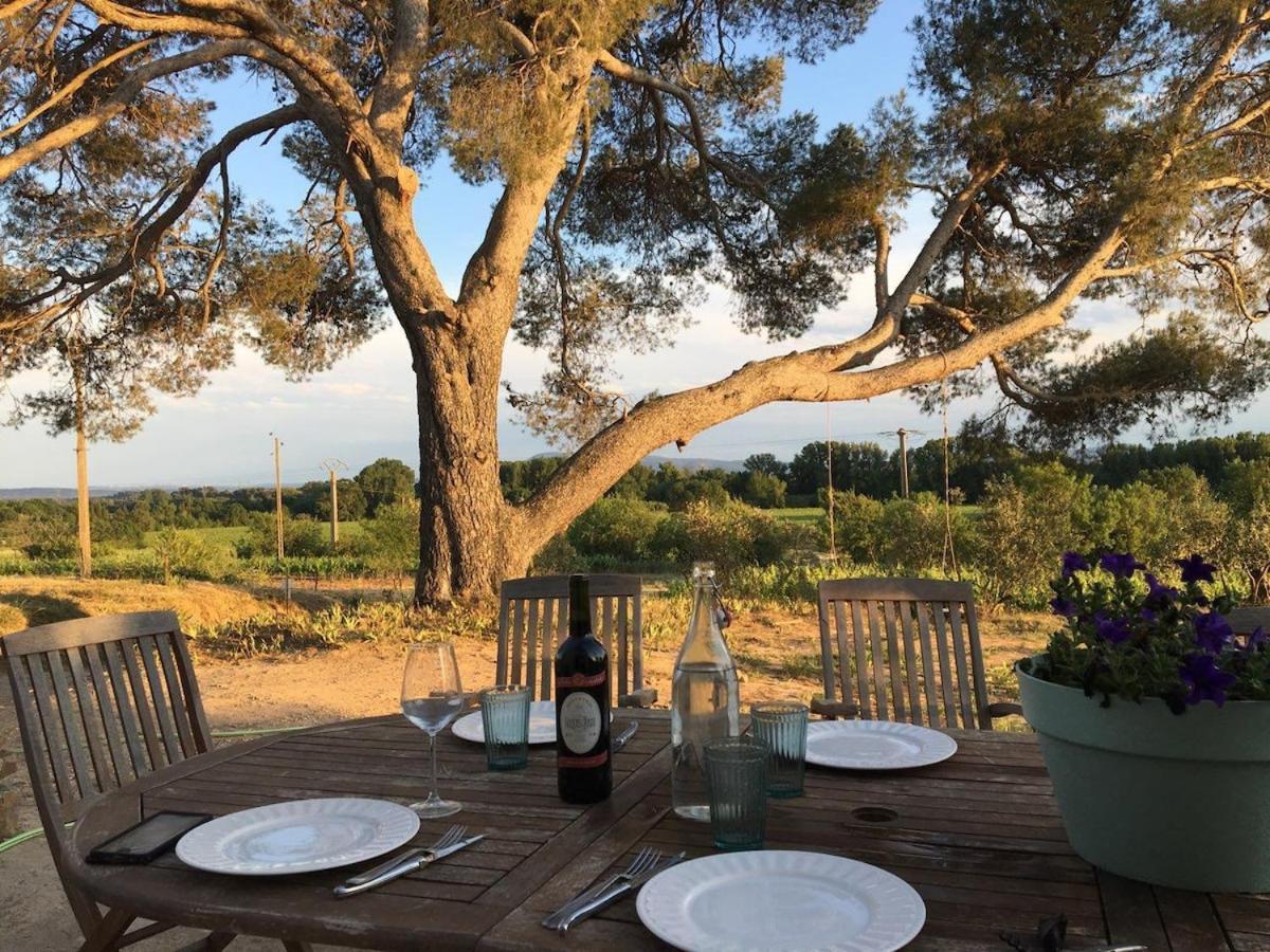 Вилла Domaine Saint Augustin Rieux-Minervois Экстерьер фото