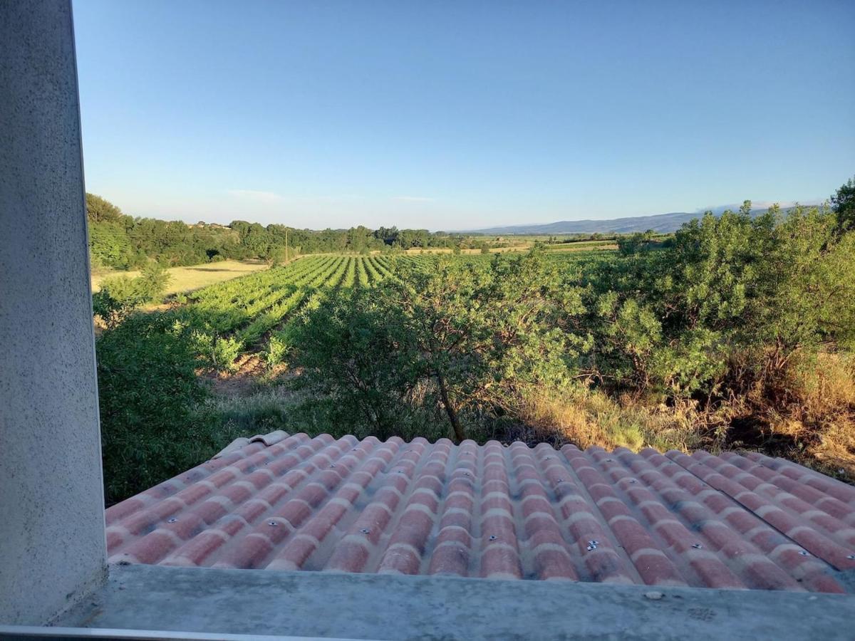 Вилла Domaine Saint Augustin Rieux-Minervois Экстерьер фото